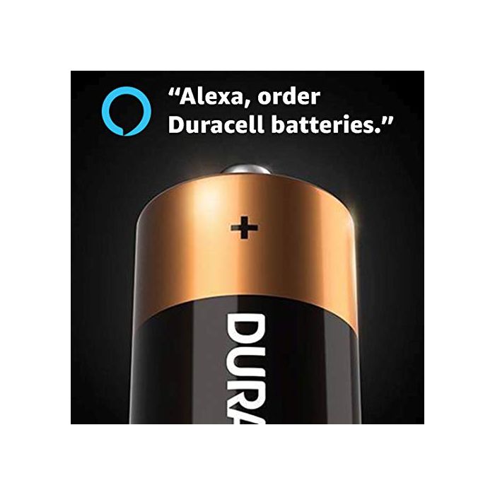 Duracell - CopperTop AAA Alkaline Batteries - long lasting, all